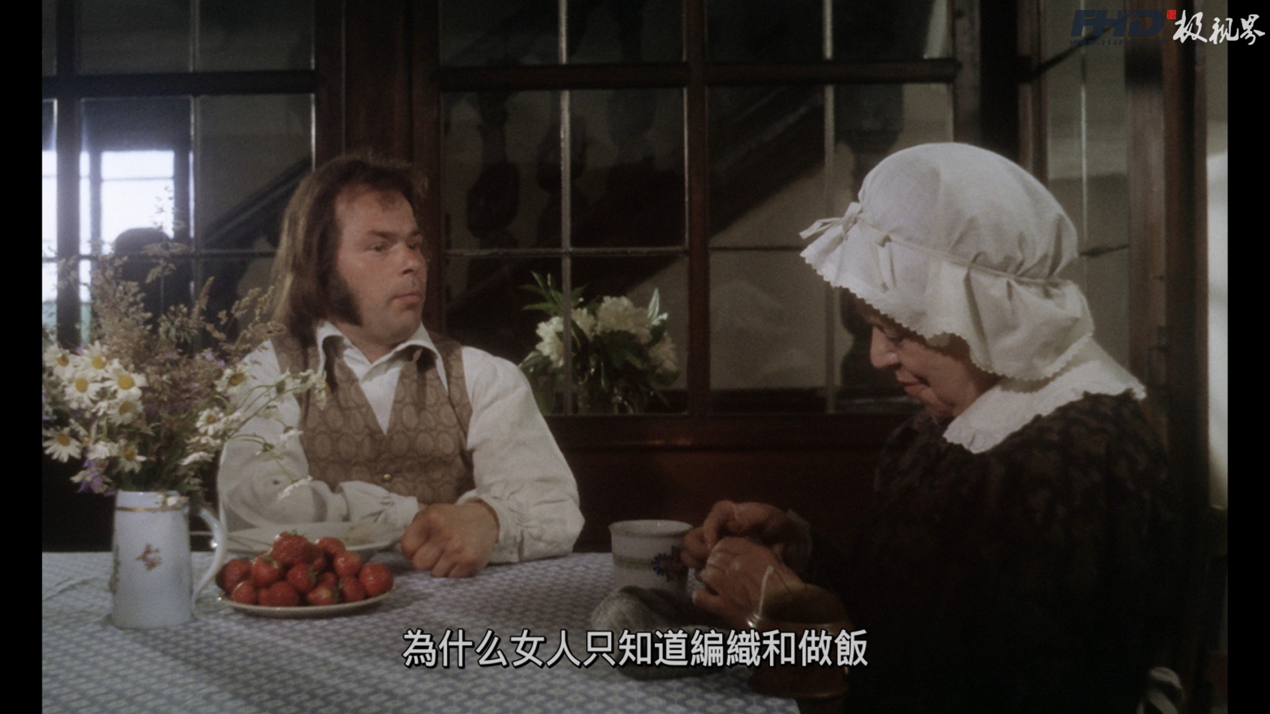 蓝光原盘丨蓝光电影丨4K电影©115FHD蓝光原盘电影分享站【www.115fhd.com】卡斯帕尔·豪泽尔之谜 The Enigma of Kaspar Hauser 1974 (14) (复制).jpg